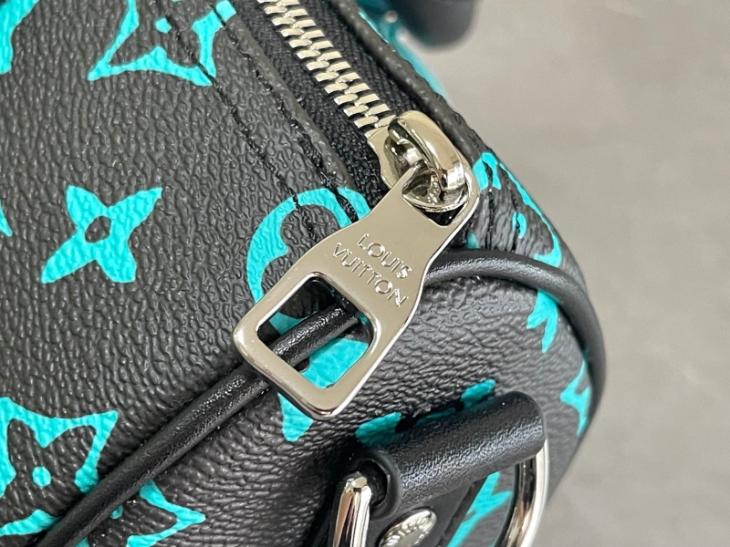 LV Speedy Bags